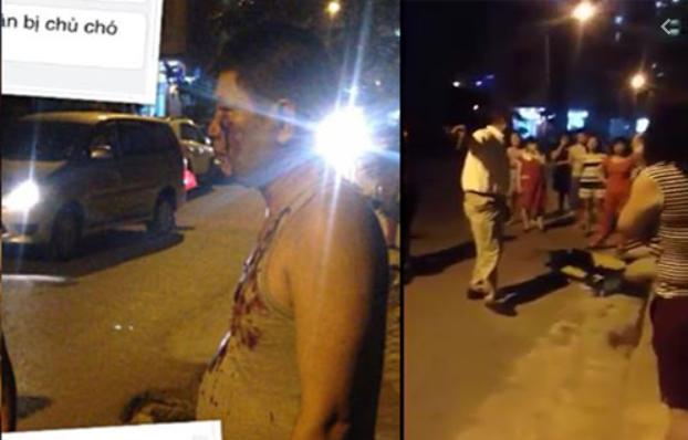 Clip Chó Pitbull cắn chết người trong quán cà phê, tấn công chủ trọng thương