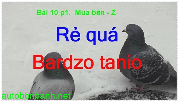 học tiếng Ba Lan qua phim ảnh