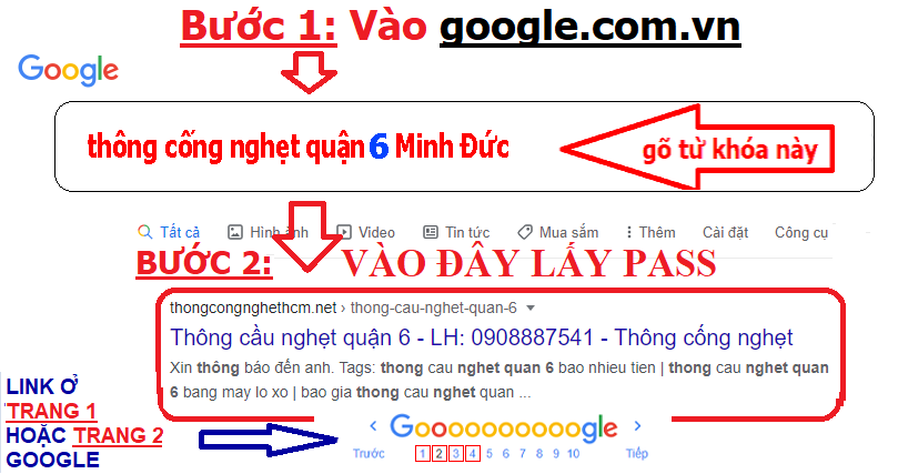 TCNQ6.png