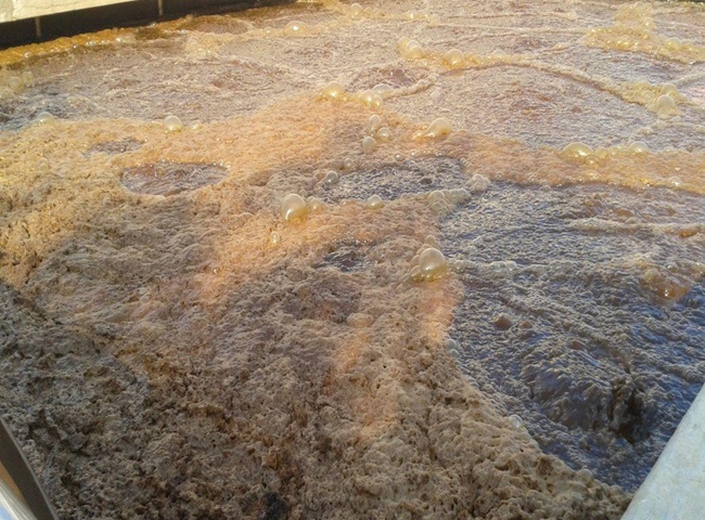 nuôi bùn vi sinh hiệu quả