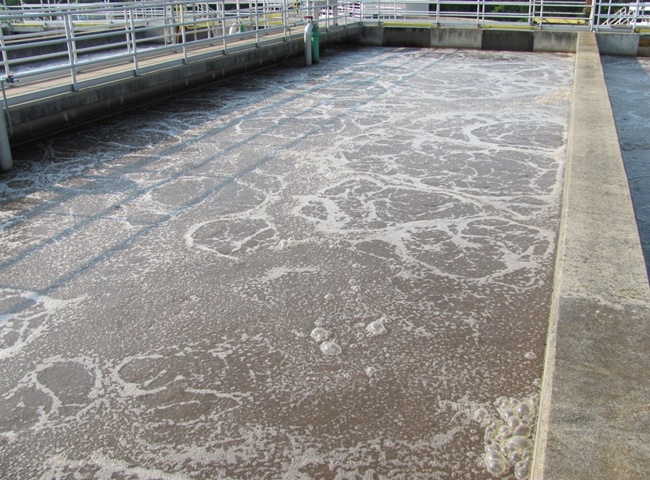 sự cố bùn vi sinh