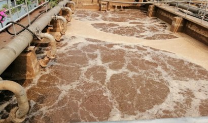 Mua bùn vi sinh chất lượng và giá tốt nhất 2022