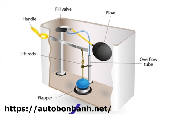 Bồn cầu tho&aacute;t nước chậm do ống tr&agrave;n c&oacute; vấn đề