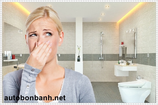 Những biểu hiện khi hầm cầu bị đầy chất thải