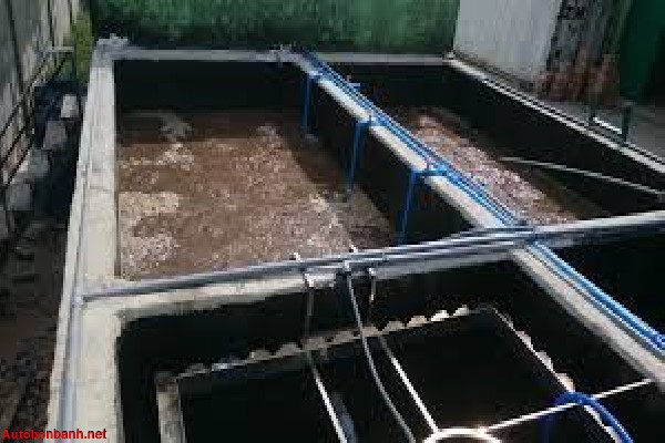 Nguy&ecirc;n nh&acirc;n nh&agrave; vệ sinh c&oacute; m&ugrave;i h&ocirc;i